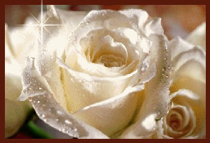 un fleur