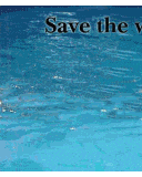 save the